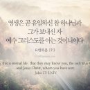산들가축 | 12월 29일 시 148:1-14 요약
