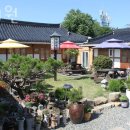 경주펜션 락희원 후기 위치 가격 정보