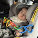 진틀주차장 | 6개월 아기와 가볼 만한 곳 [거제] 거제 식물원 정글돔 &amp; 진틀리움