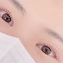 꼬숑 살롱