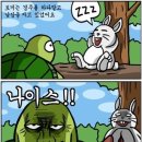 토끼와거북이