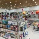 퍼스트 독 앤 캣 이미지