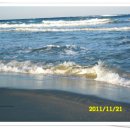 섬마을바다 이미지