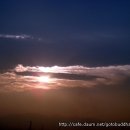 자주고름 이미지