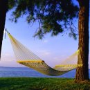 소망행정사무소 이미지