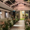 비타메인 이미지