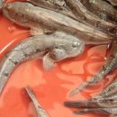 욕보할매집 이미지