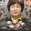 김양식농장 이미지