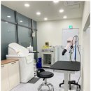 오프독 반려견 종합교육문화센터 이미지