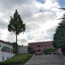 대전과학기술대학교양지관 이미지