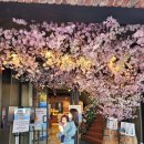 삼풍베이커리 이미지