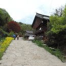 백연사