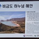 비금도·도초도 Daum카페