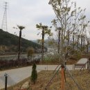 미래1공원 공중화장실 이미지