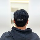 벨디느