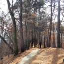 아름도담길 이미지