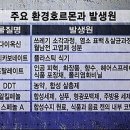 환경호르몬이 실제로 인체에 미치는 영향은?(총괄게시판 "1-마-(65)"에 포함) 이미지