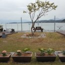 토끼와거북이펜션2 이미지