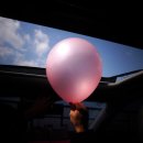 자넷 앤 캐시 | 제주도 독채펜션(가족펜션) 자넷앤캐시 솔직히~