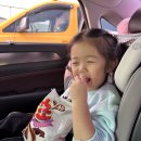 내손탁구장 | 양양 겨울 여행 / 쏠비치 양양 디너 가격 및 후기