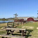 천화농장 | [고창] 상하농원 파머스빌리지 아이랑 가기 좋은 힐링 테마파크 할로윈