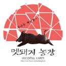 🐗택배보낼 멧지들 다 드루와드루와 4000원 택배 훅이🐗 이미지