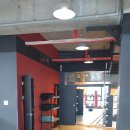 용인대SH복싱 이미지