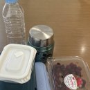 하우키즈풀 | [하우키즈풀 런치백] 직장인 도시락 가방 유목민 정착템 (내돈내산/컬리)