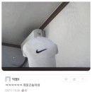 유니온 펫 이미지