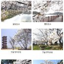 봄봄봄 이미지