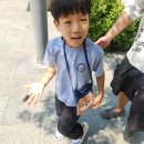 2026년8월1일(토) "도돌이표봉사단과 함께 롤러장 즐기기 및 쿠키 만들기" 이미지