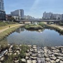 엄마집반찬 | 대전 반찬가게 여기 가세요! 사장님이 손수 된장까지 담그시는 엄마반찬 솔직후기