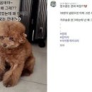 설이몰