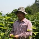 충성농장 이미지