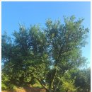 이고농산 이미지