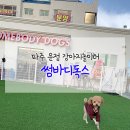 썸바디독스 이미지