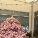 해남성쭈꾸미 이미지