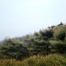 나라오이코스주 네이버블로그