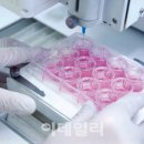 에피템