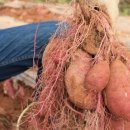 가증농장 이미지