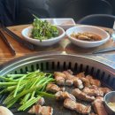 베어스타코이수 이미지