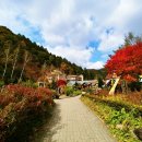 홍정농장 이미지