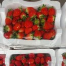 하모니마트법원점 이미지