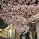 [천안 신불당] 레드포스PC아레나 천안불당점 - 깔끔하고 쾌적한 천안 신불당 PC방 추천