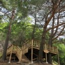 하늘마루염소목장 이미지