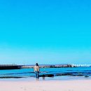 오늘도 화창 이미지