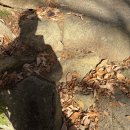 가조고견사 | 일상기록 69. 우두산 다녀왔숨둥