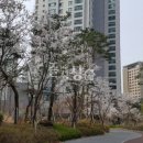 THE합동공인중개사사무소 네이버블로그