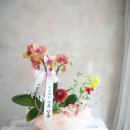 참좋은꽃집 | 신논현역후기좋은꽃집 판교분당꽃배달 대기업 영전축하 보자기포장 난화분 라포레드유 laforetdeyou
