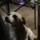 별언덕민박 이미지